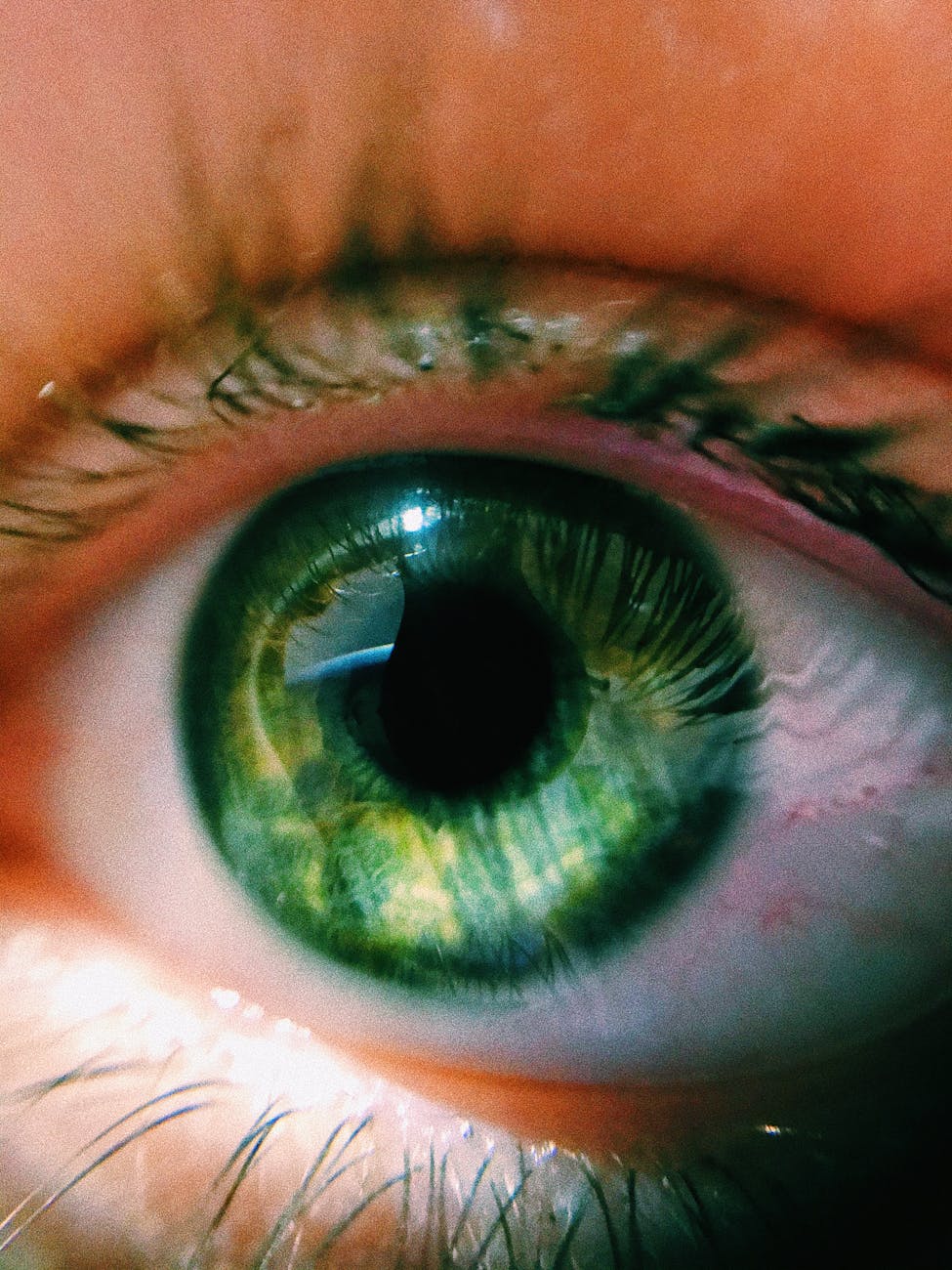human green eye in close up